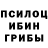 Галлюциногенные грибы мицелий Gil D