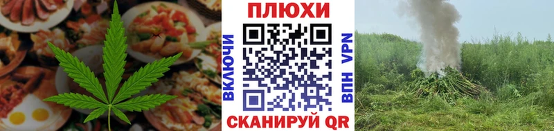 Canna-Cookies марихуана  Родники 