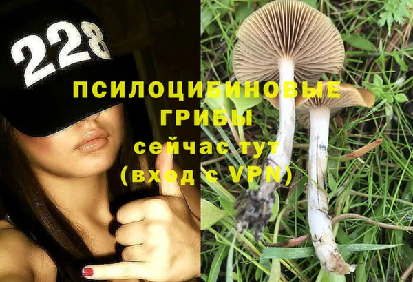 ALPHA PVP Алексин