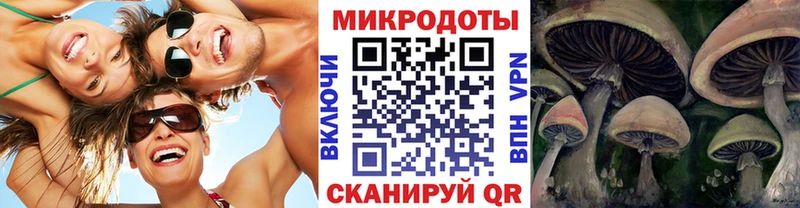 Галлюциногенные грибы мицелий  Родники 