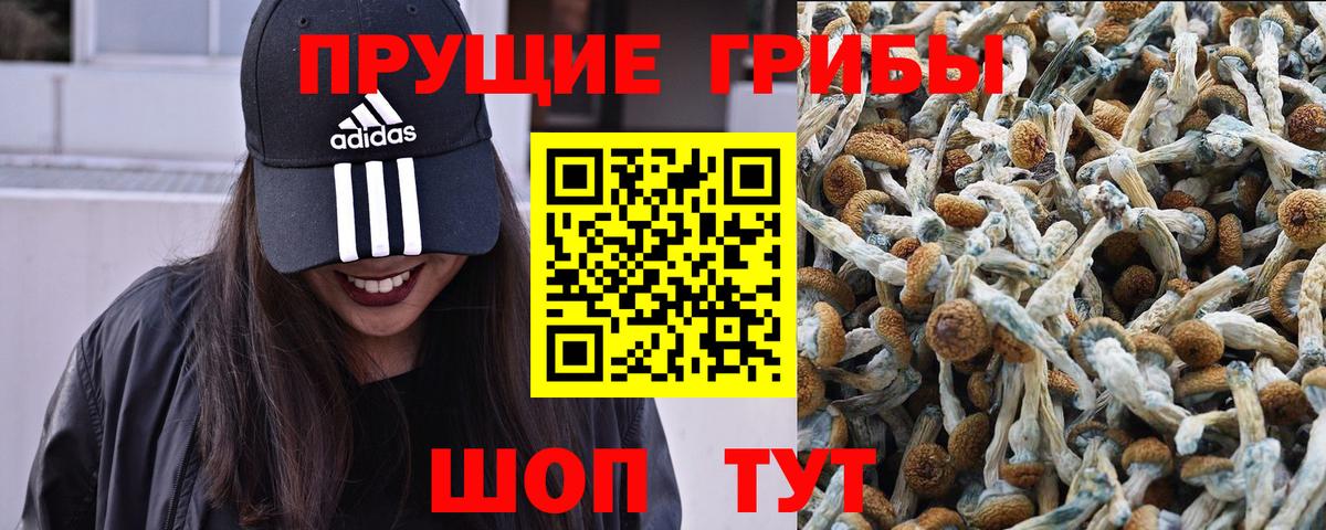 Родники  Псилоцибиновые грибы мицелий  Псилоцибиновые грибы прущие грибы  Вход с VPN 