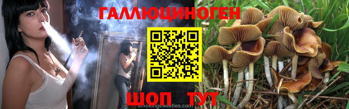 Псилоцибиновые грибы Psilocybine cubensis Родники